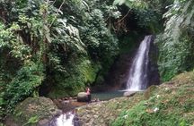 Half Day Grenada Seven Sisters, Grand Etang Nature Center Hiking Tour