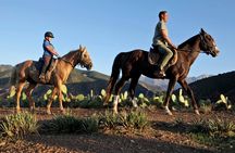  Atlas Mountains Horseback Ride Day Tour From Marrakech 