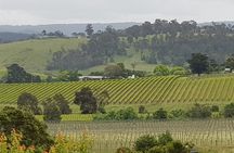 Yarra Valley Wine Tasting Day Tour from Melbourne
