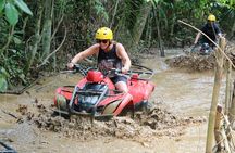 Bali : Half Day Quad Bike Tour with Lunch 