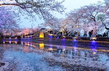 Wuxi Private Day Tour with Lingshan Buddhist Scenic Spot and Taihu Yuantouzhu