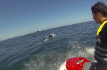 Escorted Coastal Tour by Jet Skis from St. Aubin