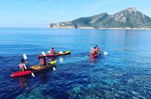 Explore the island of Dragonera by kayak and on foot