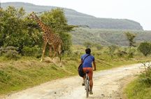 Hell's Gate and Lake Naivasha Boat Ride Guided Tour from Nairobi