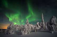 3-h Northern Light Safari by Snowmobiles From Levi