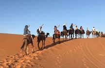 3-Day Desert Tour from Fes to Marrakesh with Accommodation