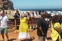 Shared Tour to Cape of Good Hope Penguins Chapman's Peak From Cape Town Full Day