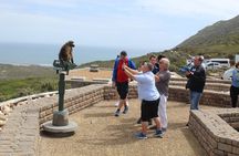 Shared Tour to Cape of Good Hope Penguins Chapman's Peak From Cape Town Full Day