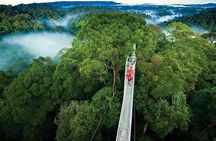 8 Days North Costa Rica Fun Family and Friends Trip