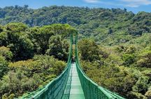 Monteverde Cloud Forest and Hanging Bridges in Selvatura Tour from San Jose