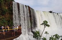 Tour to Iguazu Falls Brazil with visit at the Bird Park