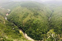 The Garden Route -4 Days Tour