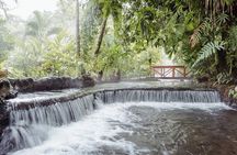 4 Days Tour Costa Rica: Tortuguero, Arenal, Monteverde, M Antonio