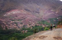 Marrakech: Atlas Mountains Day Hike, Talamrout Summit 2700M