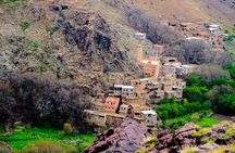 Marrakech: Atlas Mountains Day Hike, Talamrout Summit 2700M