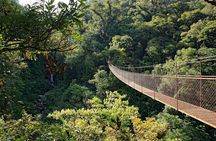 3 in 1 Eco Tour Rain Forest Aerial Tram, River Cruise & Nature Walk Private Tour
