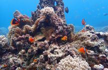 Okinawa Miyako 3set Beach SUP, Snorkeling,Pumpkin Cave,Canoeing