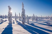 Further to the Wilderness - Rovaniemi