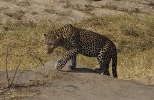 Mikumi National Park in a Day - A Day Tour from Morogoro