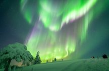 Private Aurora Tour (5 or more) by Aurora Experts - Rovaniemi