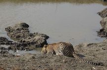 Mikumi National Park in a Day - A Day Tour from Morogoro