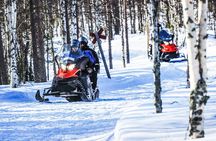 Snowmobile Driving - Afternoon start