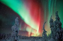 Northern Lights Snowmobile Driving Safari
