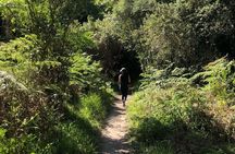 The Garden Route 7-Day Tour
