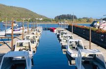 4 Days Private Guided Tour in Garden Route