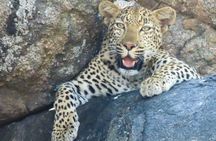 Kruger National Park - Private 3 day, 2 night safari trip.