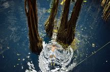  Private Tour - The best Cenotes in Yucatan - Suytun & Oxman