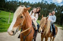 Top Packages Activities Discover Agadir and Morroco ®