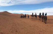 2Days Share Tour From Fes To Marrakech Via Sahara Desert Morocco