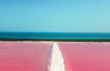 Las Coloradas Tour from Cancun and Playa del Carmen 