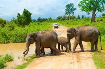Udawalawe Safari Private Day Tour Kaluthara/Beruwala/Bentota/Kosgoda/Ahungalla