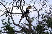 Yala Safari Private Day Tour From Kaluthara/Beruwala/Bentota/Kosgoda/Ahungalla
