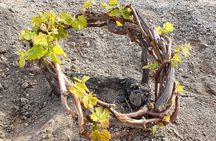 Santorini: 4hr Private Wine Tasting Tour