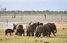 DOUBLE SAFARI -Udawalawe & Yala Safari Private Day Tour 