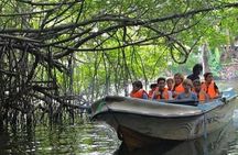 Bentota River Boat Safari with Private Boat Beruwala/Bentota/Kosgoda/Ahungalla