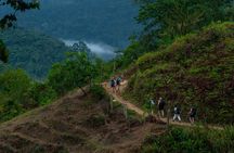 5-Day Private Guided Hiking Experience to The Lost City