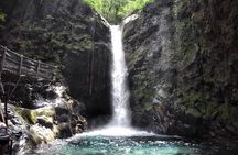 Rincon de la Vieja Volcano Hike, Mud Bath and Hot Springs