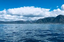 Whale Watching Tour in Hermanus with Hotel Pickup