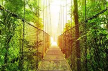 3 in 1 Eco Tour Rain Forest Aerial Tram, River Cruise & Nature Walk Private Tour