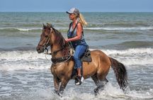 Horseback riding tour in a Colombian Paso fino horse