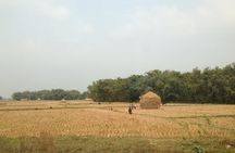 5-Day Private Farming Experience in Nayapul with Accommodation