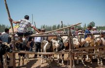 Full-inclusive Kashgar Private Day Tour with Sunday Market