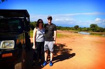 Udawalawe National Park | Half Day Safari Tour