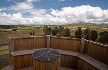 Private full-day wine tour in the Hunter Valley