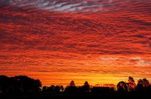 Private full-day wine tour in the Hunter Valley