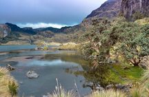 Private Cajas National Park Half-Day Tour from Cuenca